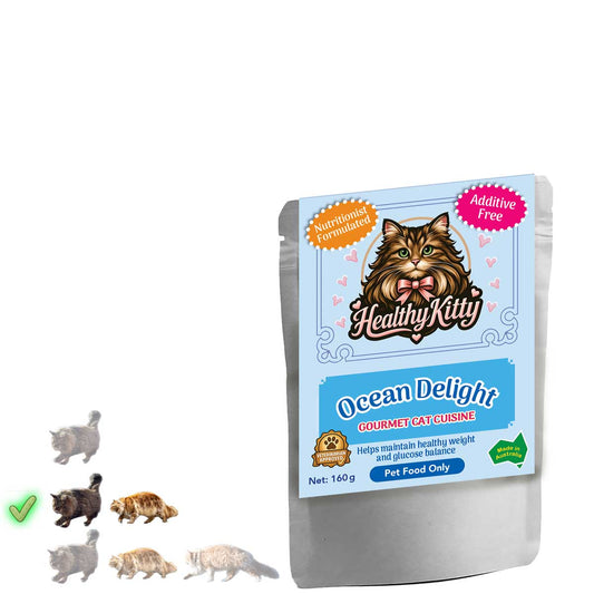 HealthyKitty Ocean Delight 160g pouch — grain‑free wet cat food, Australian‑made