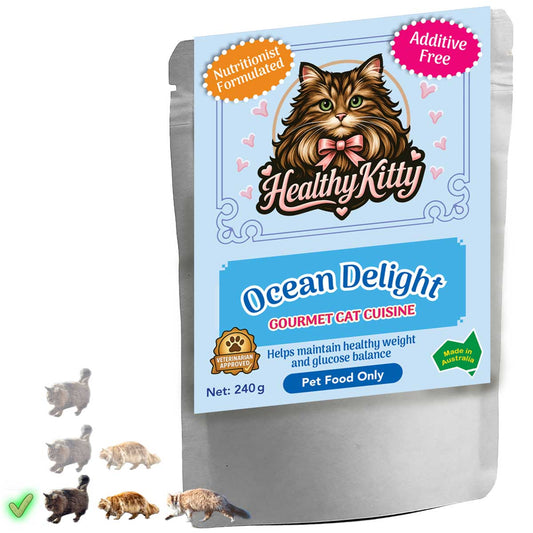 HealthyKitty Ocean Delight 240g pouch — grain‑free wet cat food, Australian‑made