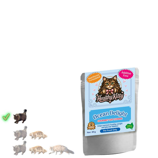 HealthyKitty Ocean Delight 80g pouch — grain‑free wet cat food, Australian‑made