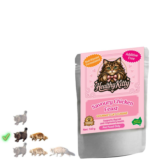 HealthyKitty Savoury Chicken Feast 160g pouch — grain‑free wet cat food, Australian‑made