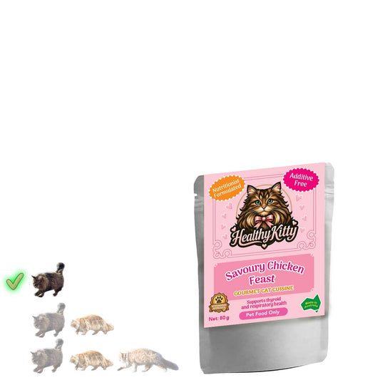 HealthyKitty Savoury Chicken Feast 80g pouch — grain‑free wet cat food, Australian‑made
