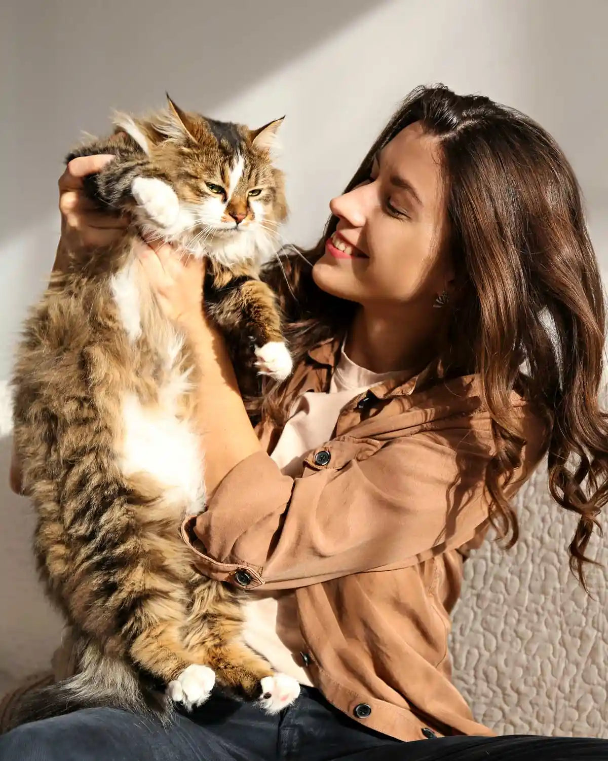 HealthyKitty grain‑free wet cat food  — Australian‑made